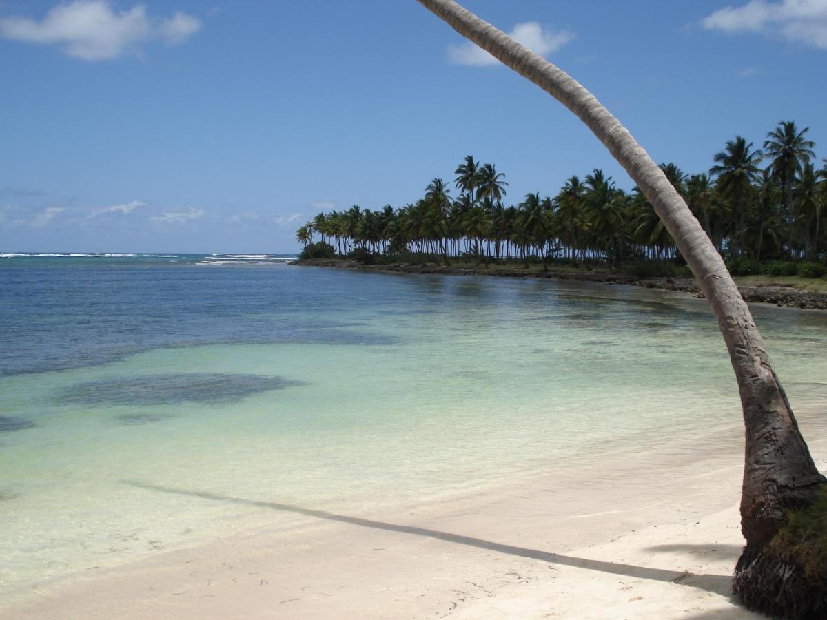 Palm-Covered House In The Tropical -Casa Oli Las Galeras Bagian luar foto
