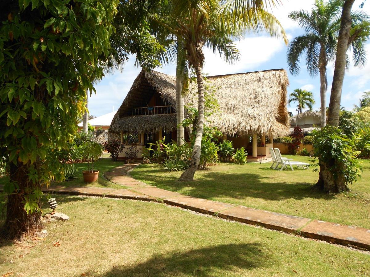 Palm-Covered House In The Tropical -Casa Oli Las Galeras Bagian luar foto