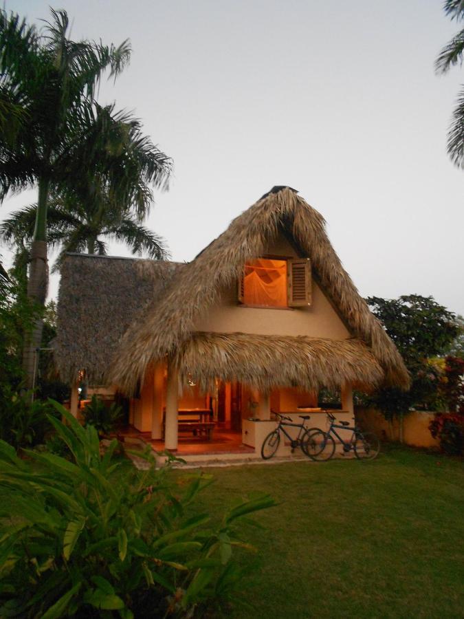 Palm-Covered House In The Tropical -Casa Oli Las Galeras Bagian luar foto