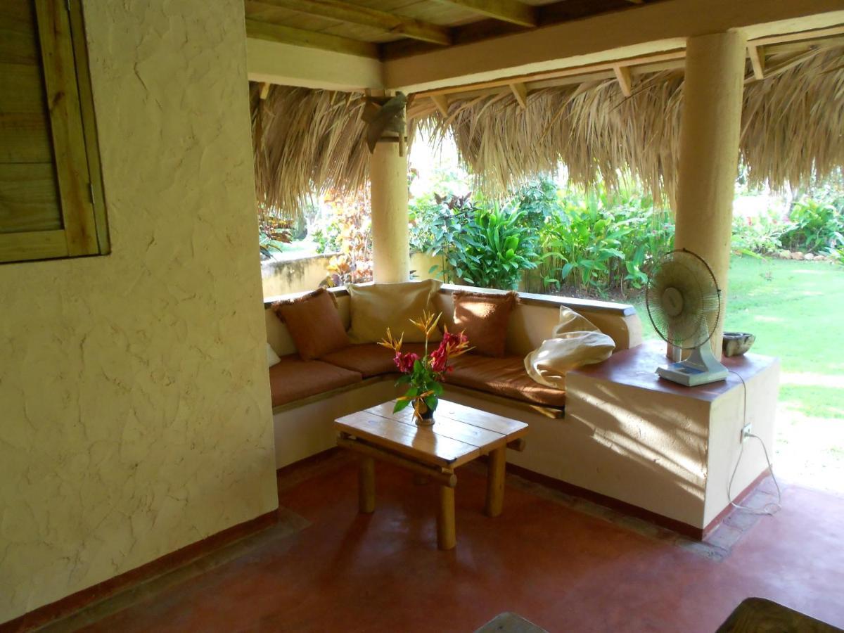 Palm-Covered House In The Tropical -Casa Oli Las Galeras Bagian luar foto
