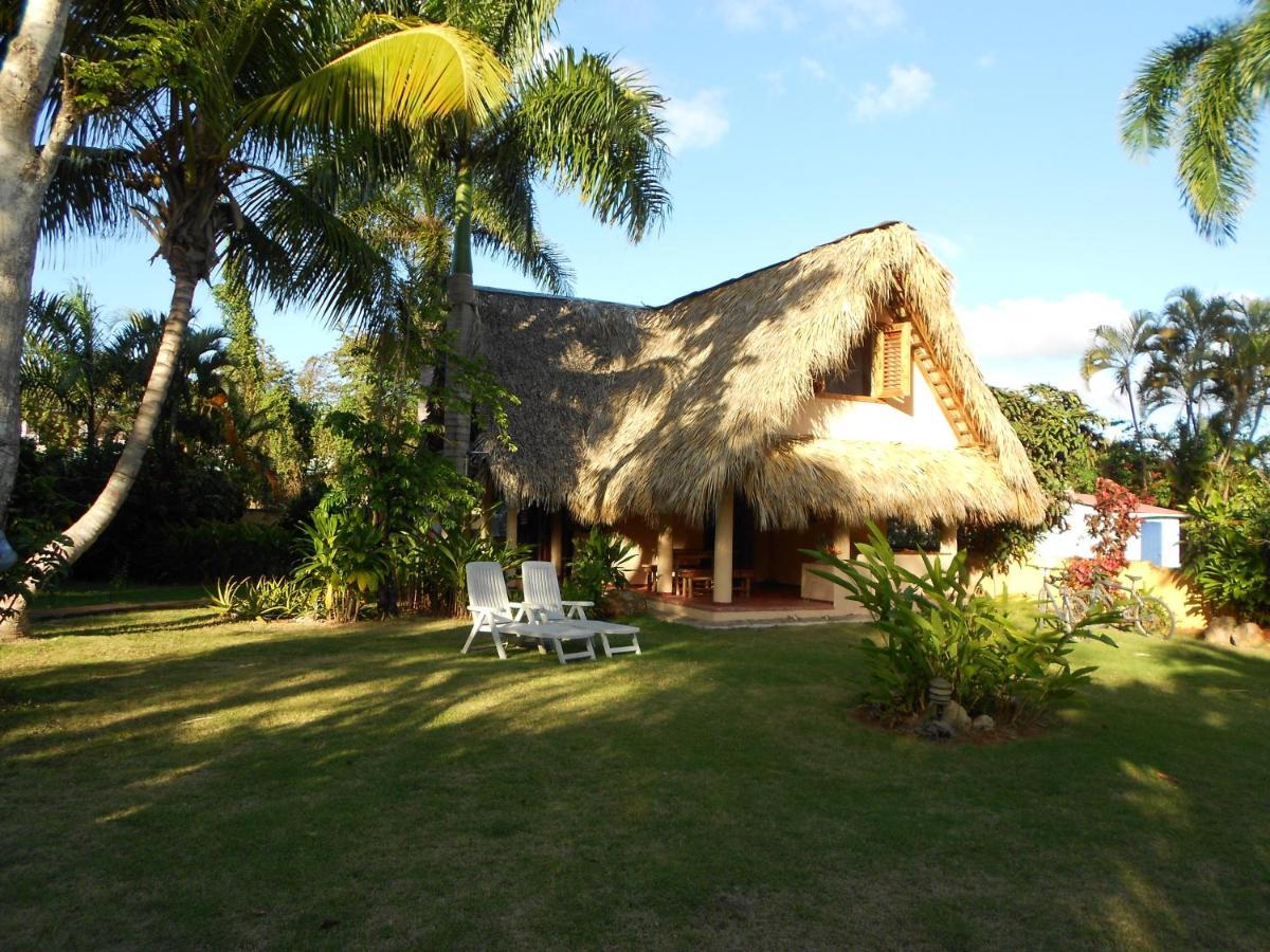 Palm-Covered House In The Tropical -Casa Oli Las Galeras Bagian luar foto