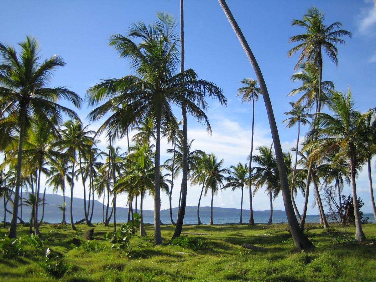 Palm-Covered House In The Tropical -Casa Oli Las Galeras Bagian luar foto