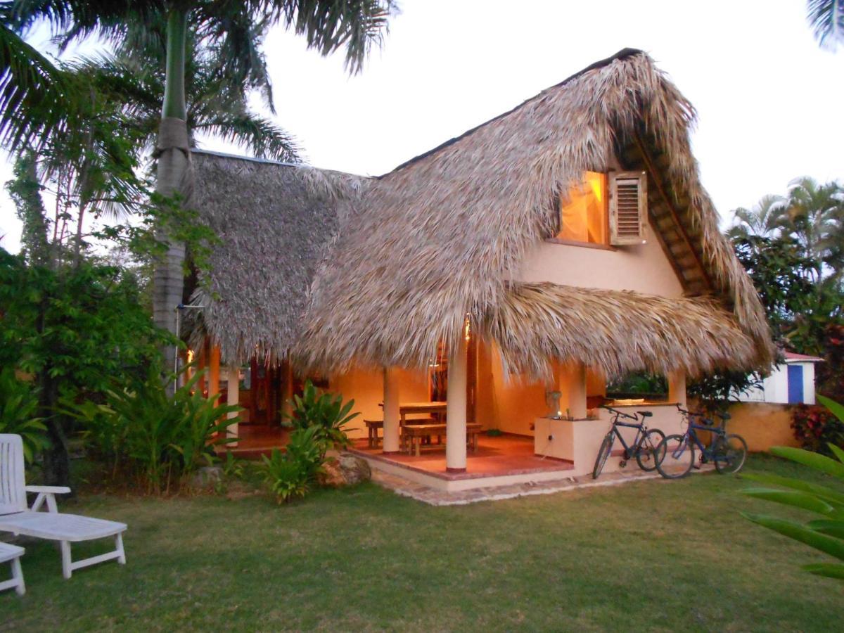 Palm-Covered House In The Tropical -Casa Oli Las Galeras Bagian luar foto