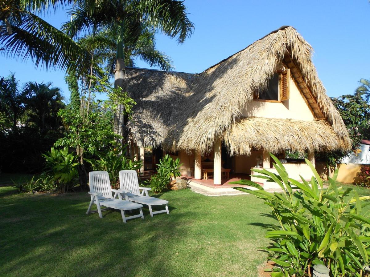 Palm-Covered House In The Tropical -Casa Oli Las Galeras Bagian luar foto