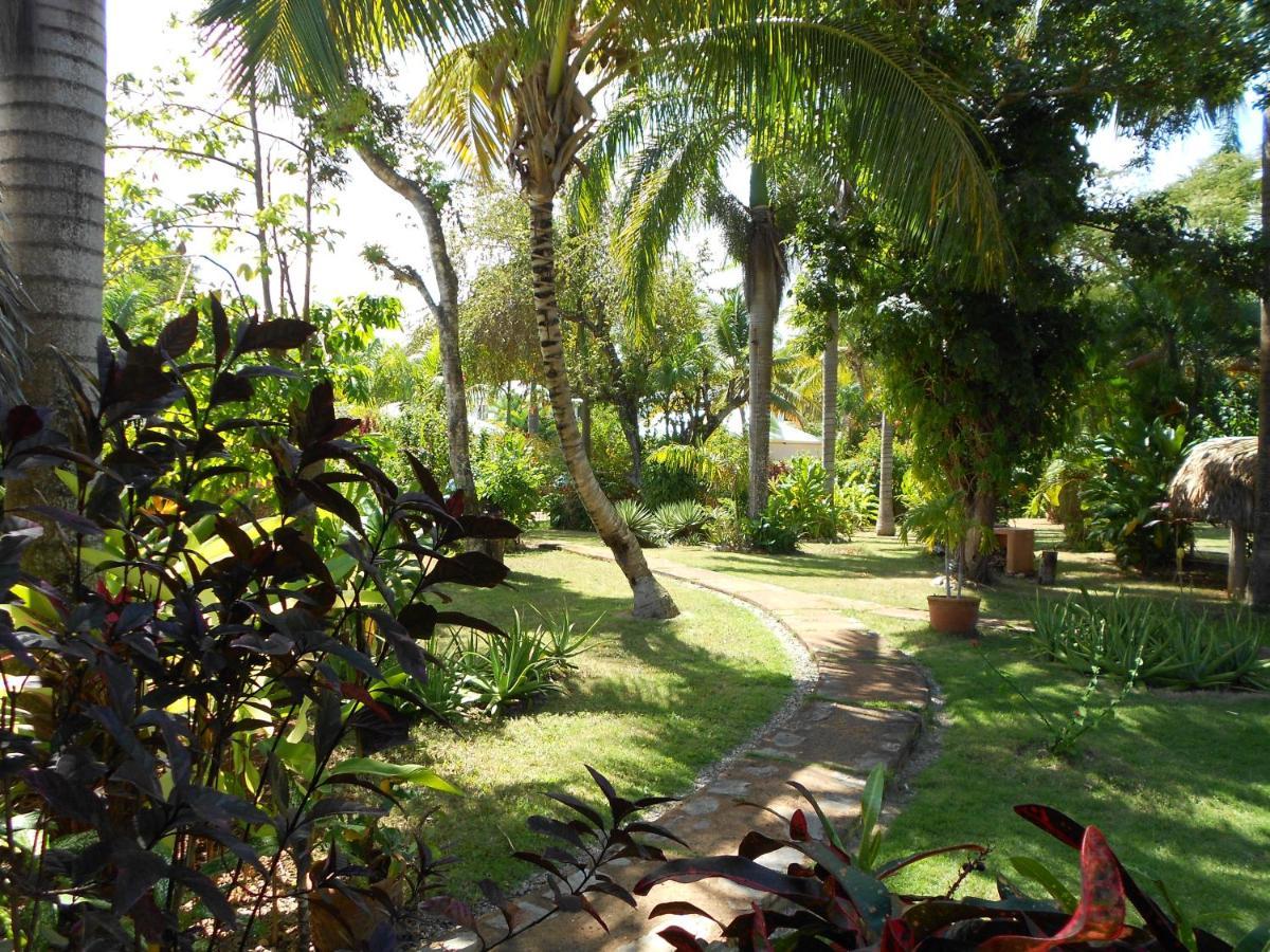 Palm-Covered House In The Tropical -Casa Oli Las Galeras Bagian luar foto